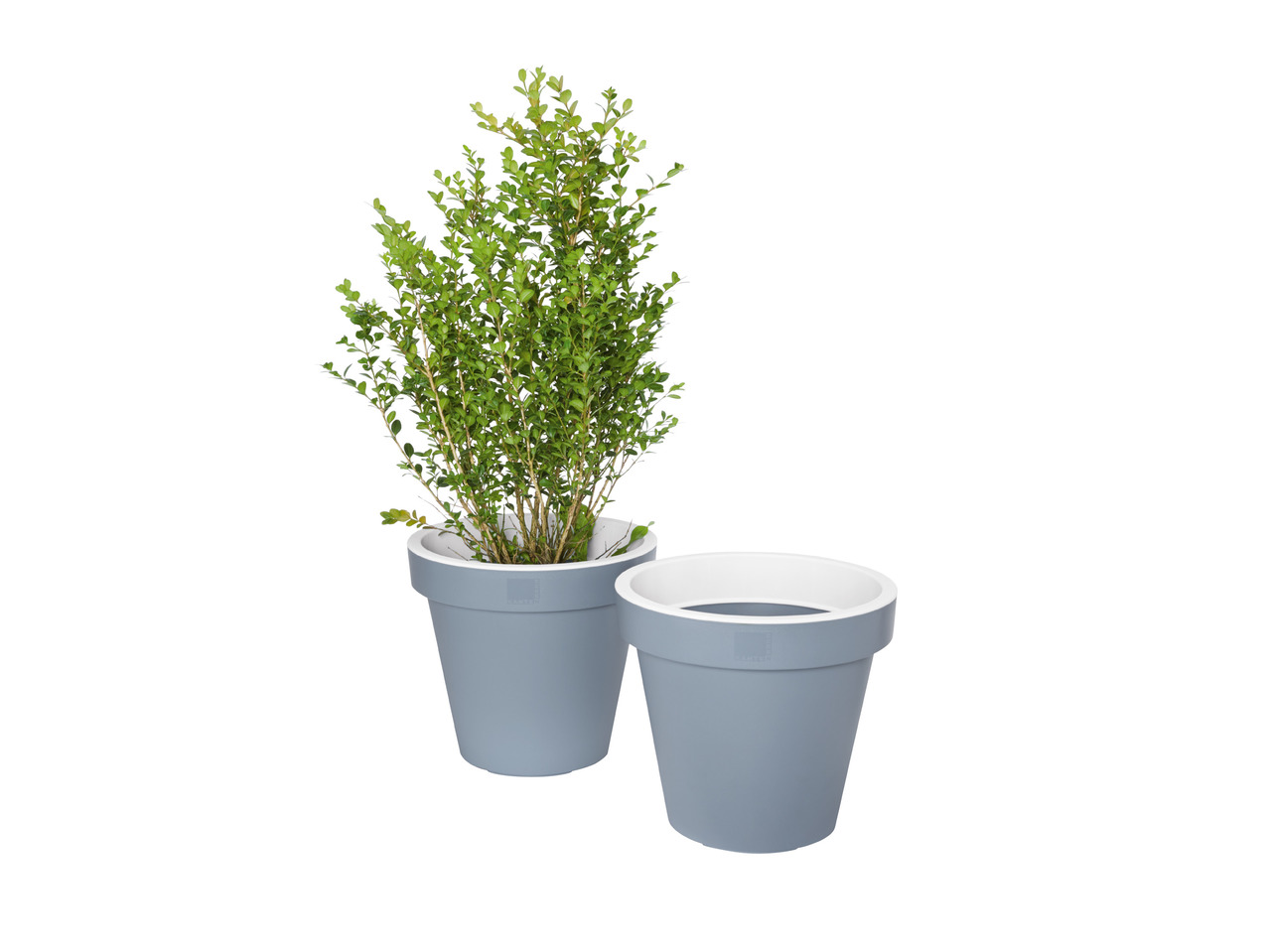 FLORABEST(R) Krukkesæt/plantekrukke