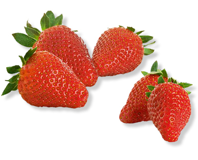 Fragole