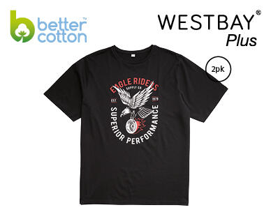 Men's Tee 2pk