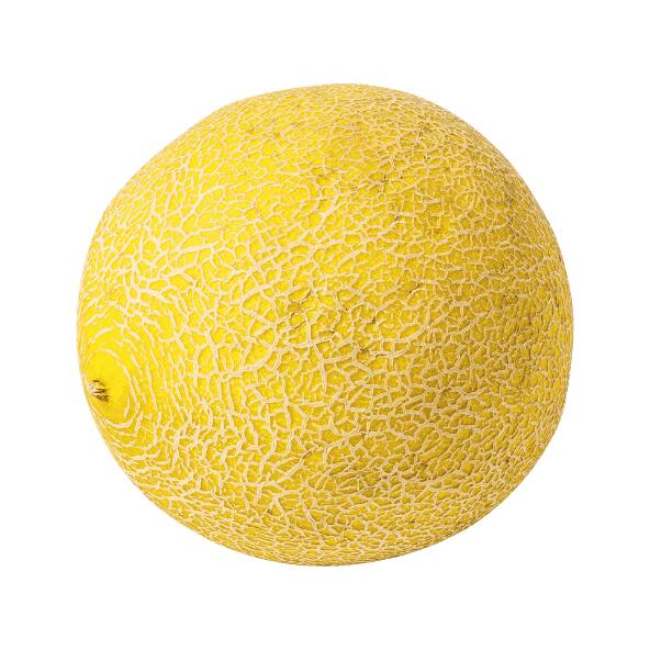 Melon Galia