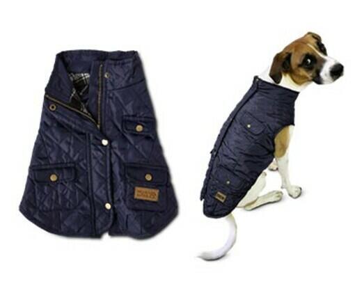 Heart to Tail 
 Pet Barn Coat