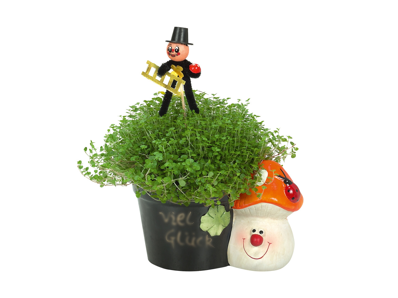 Plante decorative cu figurine