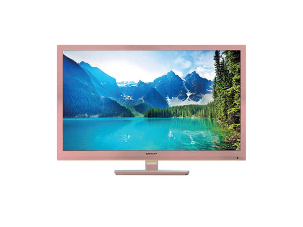 24 inch LCD TV with built in DVD-Player