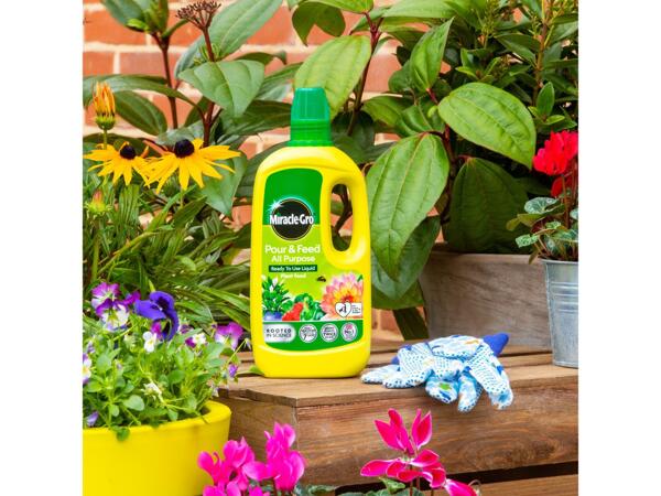 Levington Tomorite/​1L Miracle-Gro Pour & Feed