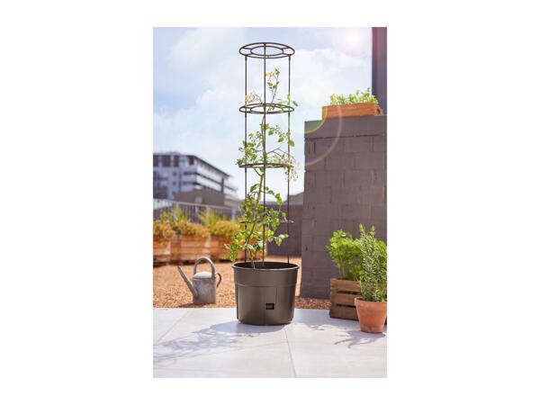 Parkside Tomato Planter