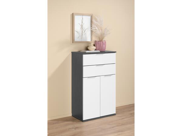 Storage Cabinet 2 Drawers And 2 Doors