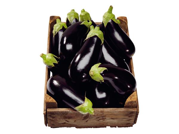 Aubergine