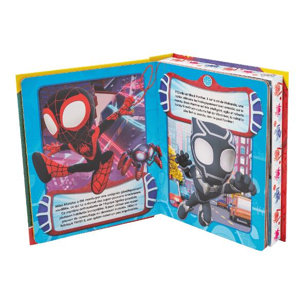 DISNEY(R)/PAW PATROL(R)/GABBY'S DOLLHOUSE(R)/MARVEL(R) 				Buch mit Spielfiguren und Spielmatte