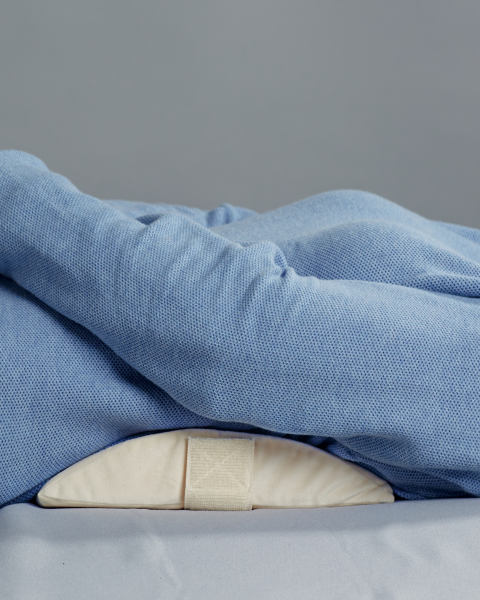 Back Support Pillow