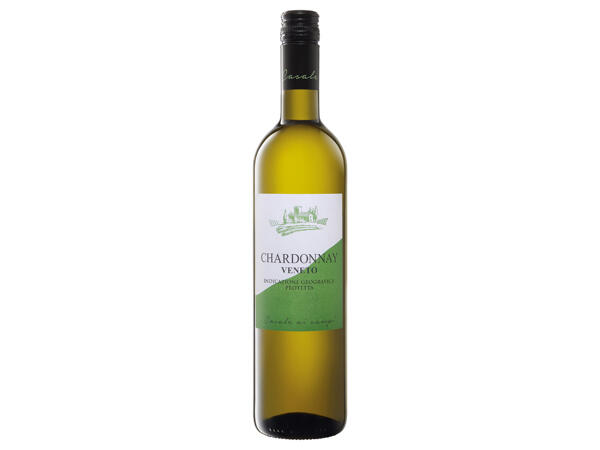 CHARDONNAY 2019 VENETO