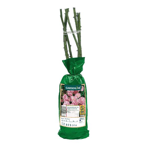 GARDENLINE(R) 	 				Rosiers ou plantes avec racines
