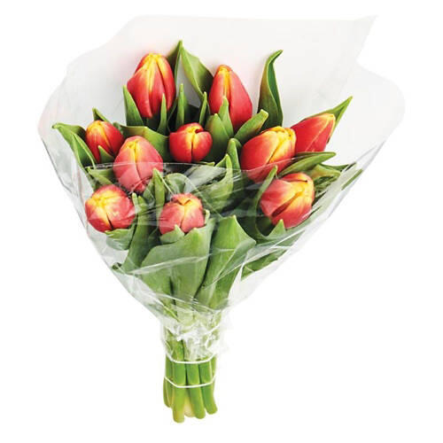 Valentine's Day 10 Stem Tulip Bouquet - Assorted Color