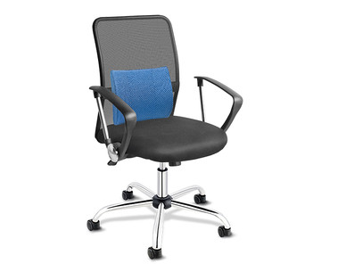 Easy Home Mesh Office Chair