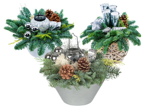 Weihnachtsschale/-korb