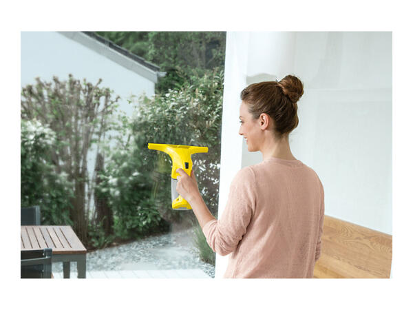 Kärcher Window Vac