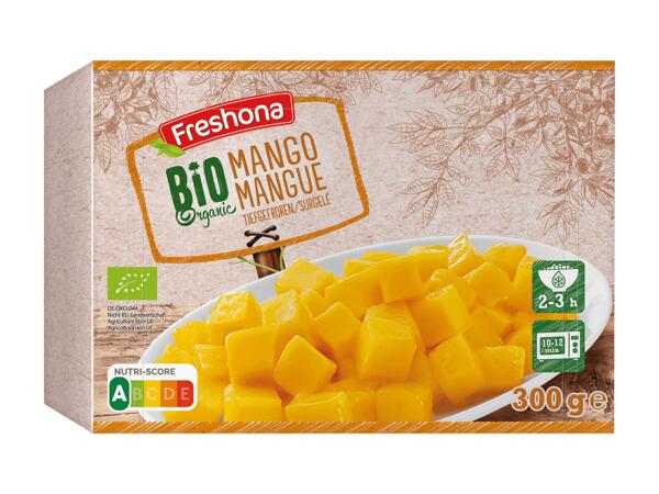 Mangue bio