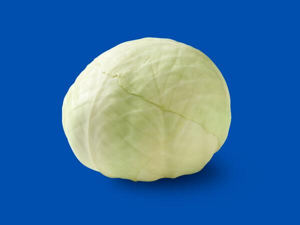 White Cabbage