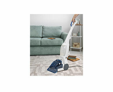 Easy Home Carpet Cleaner