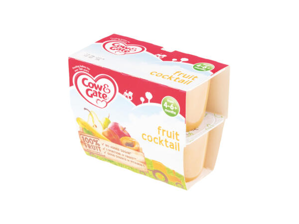 Frutapura Fruit Cocktail