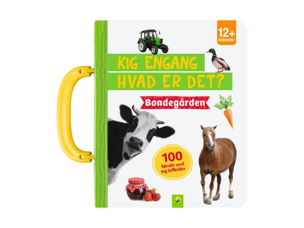 Bog: Hvad er det?