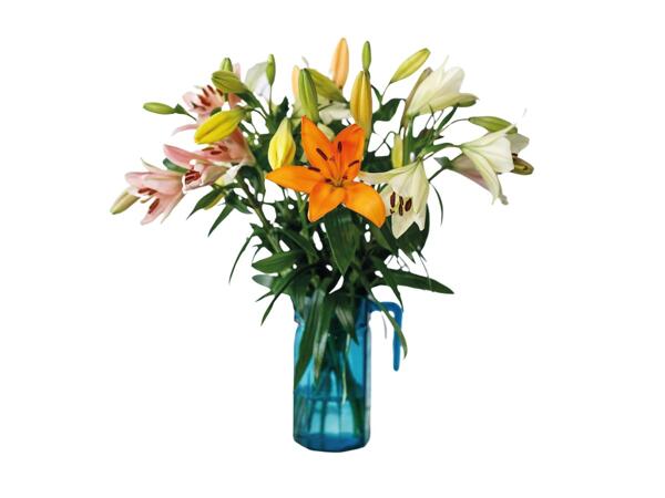 Lilies