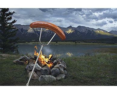 Adventuridge Extendable Fork, Spatula or Fly Swatter