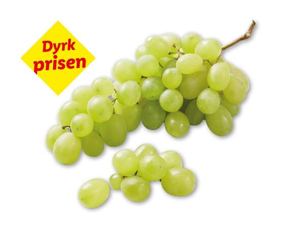 Grønne kernefri vindruer
