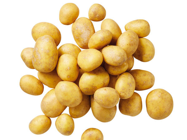 Bio Speisekartoffeln
