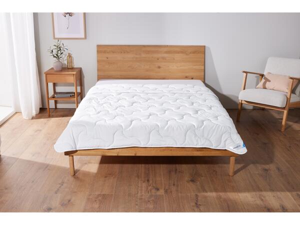 Feran Ice Duvet