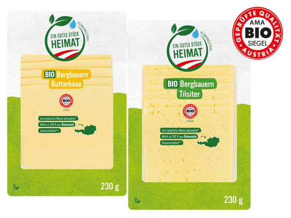 Bio Tilsiter oder Butterkäse