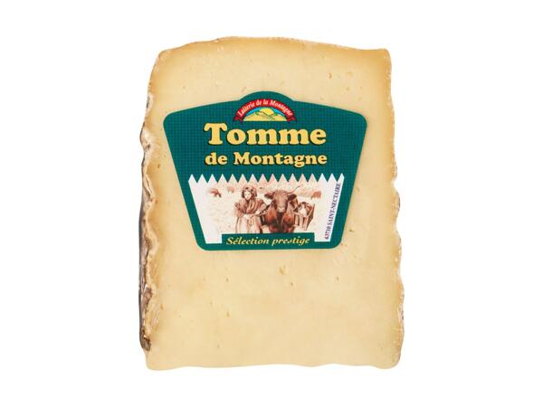 Cheese