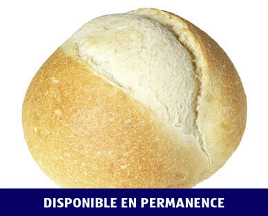 NATURE SUISSE/PANETTERIA 
 BALLON