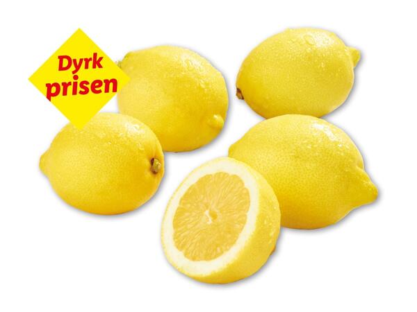 Økologiske citroner