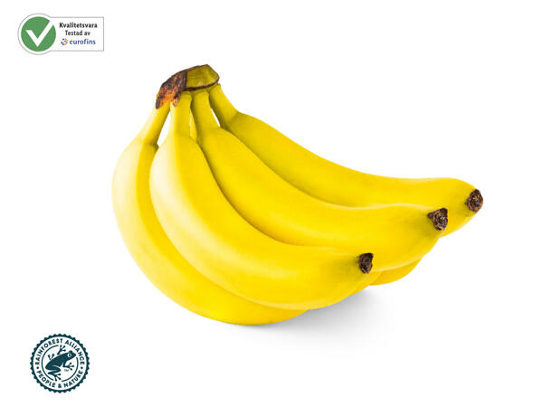 Bananer