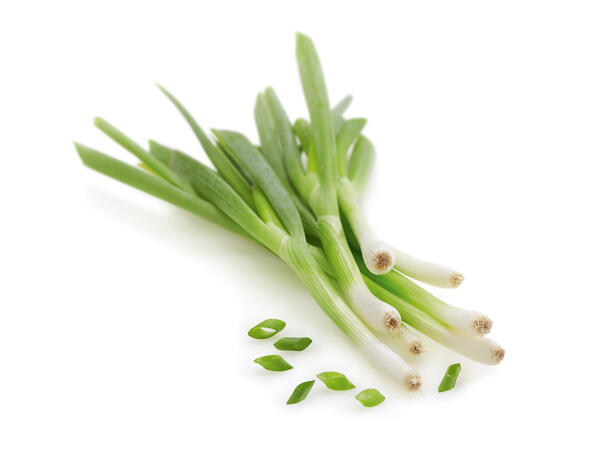 Oignons de printemps