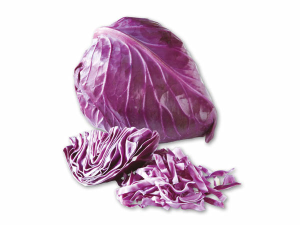 Dansk rød spidskål
