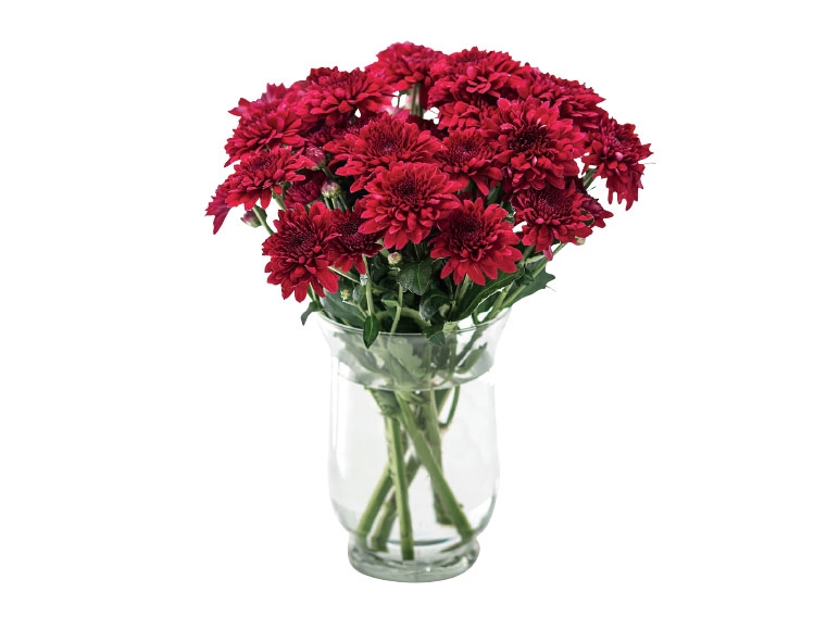 Chrysanthemums