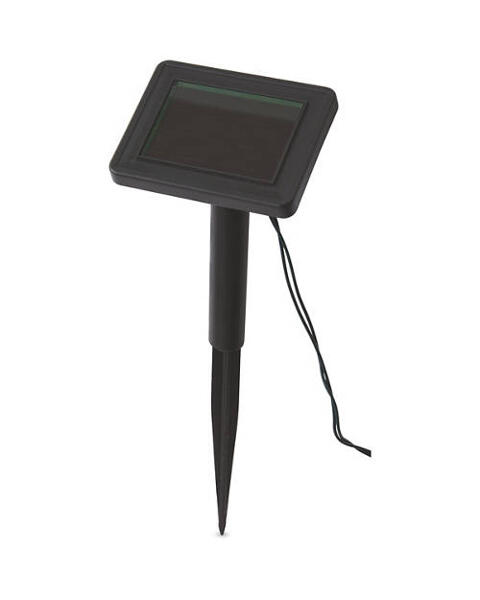 Paw Print Solar Path Lights