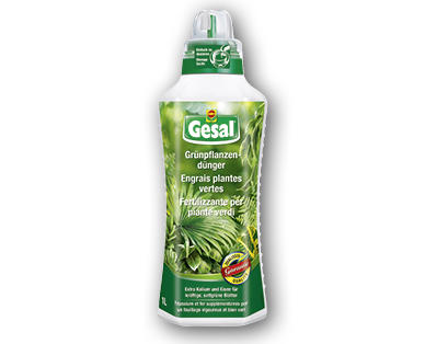 Fertilizzante per piante verdi