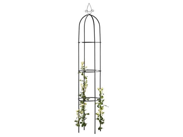 Rose Arch / Trellis