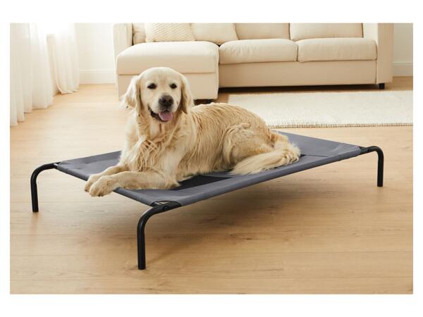 Dog Bed