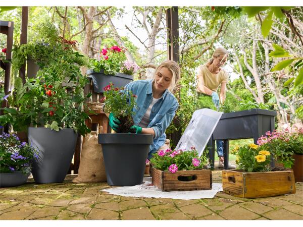 Raised Planter with Cover