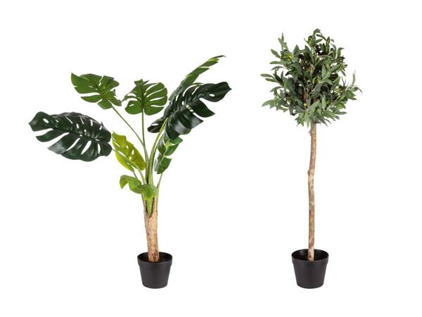 Plantes artificielles (uniquement en Suisse alémanique)