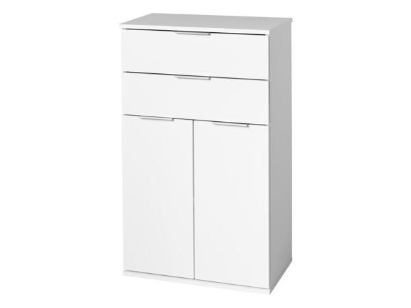 Cabinet with 2 Drawers and 2 Doors