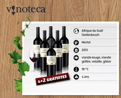 Merlot Barrel Collection STELLENRYCK