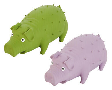 Squeaky Dog Toy