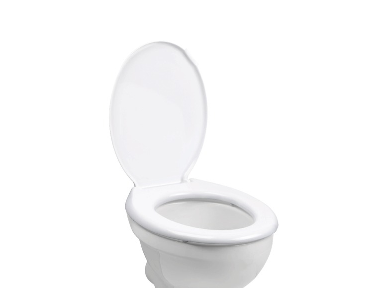 Toilet Seat