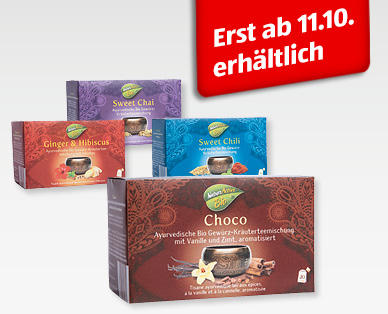 NATURE ACTIVE BIO Ayurvedischer Bio-Tee