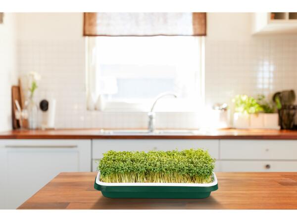 Planting Accessories