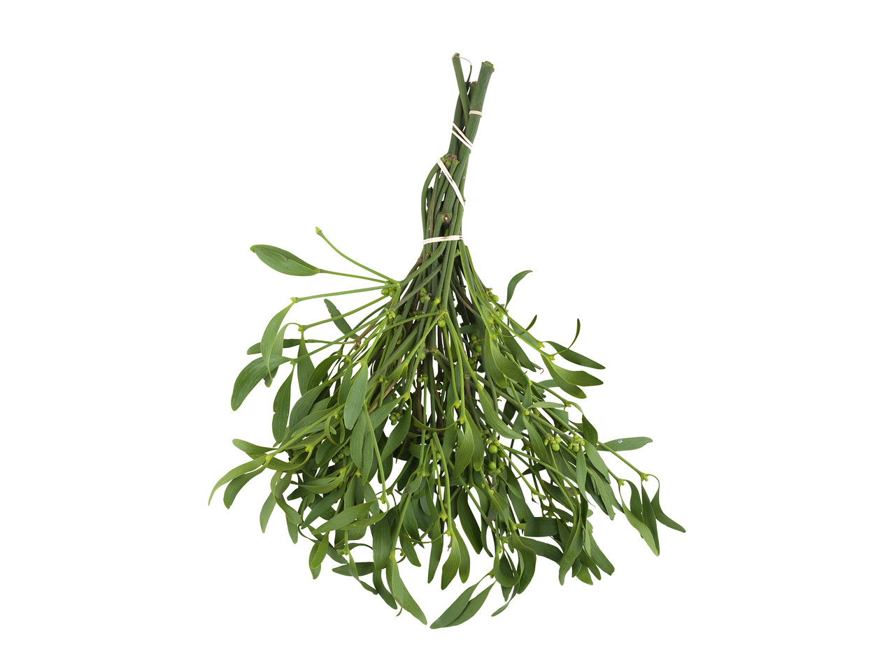 MISTEL
